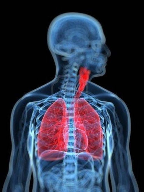 Disease Aesthetic, Belly Breathing, Health Images, Medical Background, Science Videos, Lung Disease, Strength Conditioning, Respiratory Health, Ins And Outs