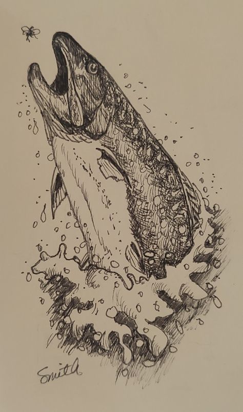 Quick pen and ink study of a brook trout for the #SundayFishSketch theme of "Michigan fishes." One of the native fish that can be found in the cold rivers, streams, and select lakes of my home state of Michigan. Brook Trout Drawing, Brook Trout Art, Fishing Drawings, Michigan Fish, Fishing Drawing, River Drawing, Water Sketch, Rivers Streams, Trout Art