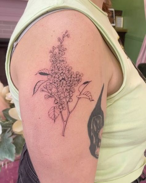 💖Amy McLain💖 on Instagram: "Gorgeous Lilacs!  Fun Fact: My favorite flower as a kid was a lilac because Unicorns live in the lilac woods! 🦄🪻 . . . . . . . #lilactattoo #flowertattoo #floraltattoo #botanicaltattoo #floralsleeve #finelinetattoo #armtattoo  #tattoo #tattooartist #losangelestattooartist #losangelestattoo #supersweettattoo #tattooideas #echoparktattoo" Lilac Wine Tattoo, Lilac Tree Tattoo, Lilac Branch, Wine Tattoo, Lilac Wine, Lilac Tattoo, Los Angeles Tattoo, Lilac Tree, Botanical Tattoo