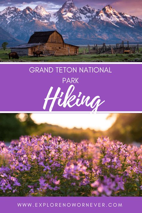 14 Amazing Things to Do in Grand Teton National Park (2024) River Float Trip, Yellowstone National Park Vacation, Yellowstone Vacation, Yellowstone Trip, Wyoming Travel, Hiking National Parks, National Park Vacation, National Park Road Trip, Montezuma