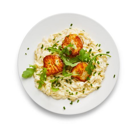 Seared Scallops with Creamy Orzo Recipe With Orzo, Creamy Orzo Recipes, Seared Scallops Recipe, Scallops Recipes, Creamy Orzo, Hungry Eyes, Sausage Pasta Recipes, How To Cook Orzo, Kitchen Staples