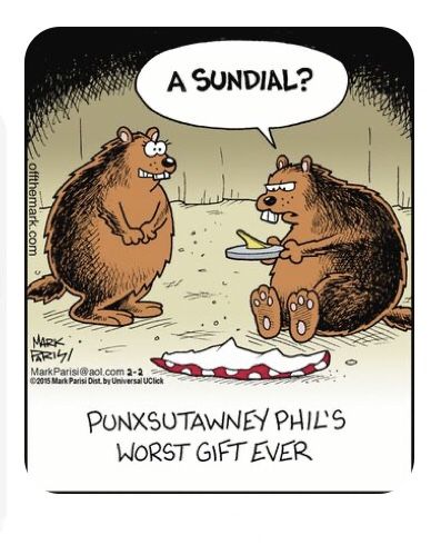 Cold Weather Funny, Humour Quotes, Mark Parisi, Punxsutawney Phil, Ground Hog, Off The Mark, Calvin Hobbes, Groundhog Day, Funny Captions