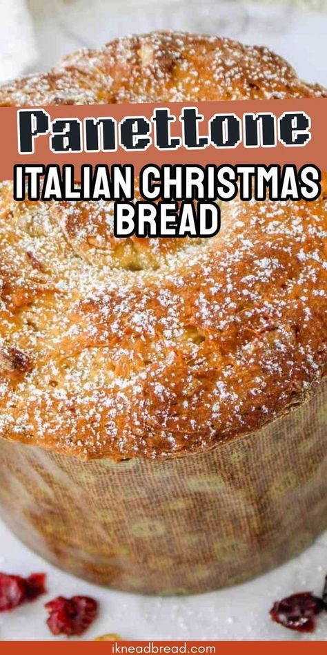 Italian panettone is a classic Christmas bread that's loved for its sweet, fruity flavor and rich, buttery texture. This traditional Italian dessert is often enjoyed during the holiday season, but it's delicious any time of year.With its distinctive dome shape and festive decorations, panettone makes a beautiful and indulgent addition to any holiday celebration. Easy Panettone Recipe, Italian Christmas Bread, Artesian Bread, Panettone Cake, Italian Christmas Cake, Panettone Bread, Italian Panettone, Panettone Recipe, Italian Desserts Traditional