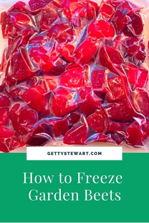 Preserving Fresh Beets, How To Freeze Beets Raw, Blanching Beets For Freezing, Freezing Beets From Garden, How To Freeze Beets From The Garden, Can You Freeze Beets, How To Preserve Beets, How To Store Beets From Garden, Freezing Beets Raw