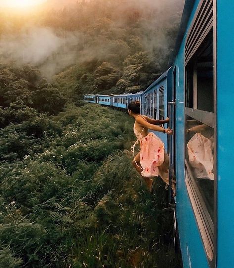 Scenic Train Rides, Train Tour, Blue Train, Sri Lanka Travel, Train Journey, Tropical Island, Train Rides, Train Travel, Travel Inspo