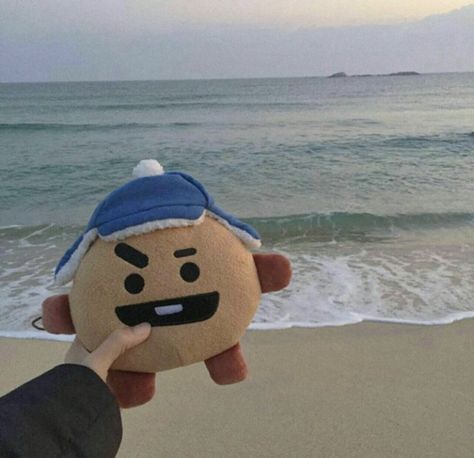 𝔭𝔦𝔫𝔱𝔢𝔯𝔢𝔰𝔱: 𝔧𝔬𝔬𝔫𝔰𝔢𝔲𝔩- #shooky #bt21 #aesthetic #tumblr #cute #sea Shooky Bt21 Aesthetic Pfp, Shooky Bt21, I M, Cute Pastel Wallpaper, Kawaii Plushies, Bts Merch, Korean Aesthetic, Bts Aesthetic Pictures, Bts Yoongi