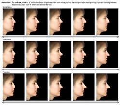 Art and Reference point Nose Types, Face Proportions, Tree Drawings Pencil, Shape Names, Theatrical Makeup, Nose Shapes, Art Sketches Pencil, Unique Faces, Face Reference