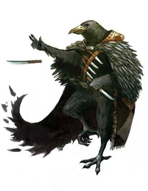 Dungeons & Dragons: Kenku (inspirational) - Imgur Mercenary Character Design, Epic Fantasy Art, Bird People, Pathfinder Character, Heroic Fantasy, Fantasy Races, Dungeons And Dragons Characters, Fantasy Monster, Wow Art