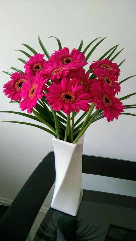 Gerbera Vase Gerbera Flower Arrangements, Pink Flower Pot, Flowers For Decoration, Gerbera Flower, Pink Gerbera, Boquette Flowers, Beautiful Flowers Photos, Flower Arrangements Simple, Beautiful Flowers Garden