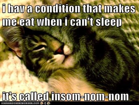 Its a Serious Condition Insomnia Meme, I Cannot Sleep, Birthday Quotes Funny, I Cant Sleep, Animal Antics, Funny Cat Memes, Meme Funny, Funny Cat Pictures, The Funny