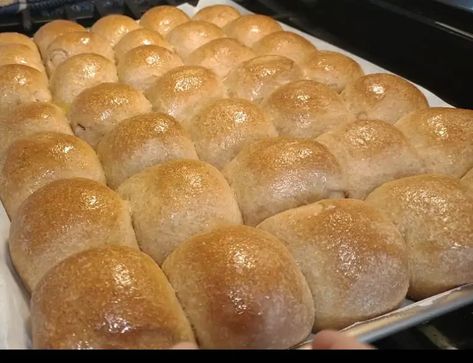 Bread From Freshly Milled Flour, Fresh Milled Flour Dinner Rolls, Fresh Milled Rolls, Fresh Milled Dinner Rolls, Freshly Milled Flour Bread, Fresh Milled Flour Rolls, Fresh Milled Wheat Recipes, Fresh Milled Flour Bread Recipe, Fresh Milled Flour Recipes