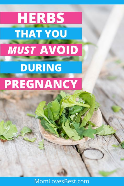 Herbs are great. They can make your dishes more flavorful and others are really beneficial when steeped and taken as a tea. There are also tons of herbs that are used as a natural remedy for certain ailments and conditions, but just because they're natural doesn't mean they're safe for everyone. Here are some herbs to avoid during pregnancy. #pregnancy #pregnancytips #pregnancyhealth #pregnancydiet #herbsforpregnancy Herbs Safe For Pregnancy, Herbs To Avoid During Pregnancy, Herbs For Pregnant Women, Tea While Pregnant, Herbs For Pregnancy, Pregnancy Safe Tea, Pregnancy Herbs, Vegetarian Pregnancy, Pregnancy Care Tips