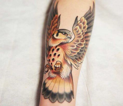 Tattoo photo - Hawk tattoo by Kate Holt Tattoo Hawk, Hawk Tattoos, Arms Tattoos, Bird Of Prey Tattoo, Tattoo Fixes, Hawk Tattoo, Framed Tattoo, Cartoon Tattoo, Happy Eyes