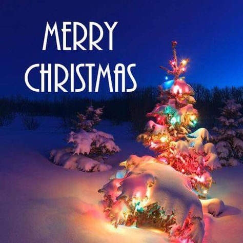 New Year Christmas WhatsApp Status Ideas Images Christmas Whatsapp Status, Christmas Status For Whatsapp, Christmas Status, Merry Christmas Wishes Text, Inspirational Christmas Message, Short Christmas Wishes, Christmas Card Wishes, Christmas Wishes Quotes, Christmas Wallpaper Hd