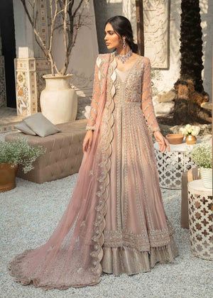 Net Gowns, Pakistani Wedding Dress, Chiffon Collection, Pakistani Bridal Dresses, Pakistani Wedding Dresses, Net Dupatta, Shalwar Kameez, Pakistani Bridal, Indian Wedding Dress