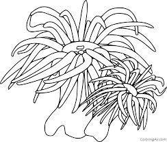 Sea Anemone Coloring Pages - ColoringAll Anemone Tattoo, Cnidaria, Sea Anemone, Two Fish, Star Wars Collection, Lotus Flower Tattoo, Anemone, Summer Time, Flower Tattoo