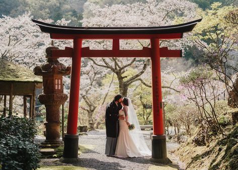 We’re just putting the finishing touches to our spring weddings here and are so looking forward to reproducing scenes similar to this from last year. . What’s more Japanese than cherry blossoms and Torii gates? And what a place to say “I do!” . And with our 2025 calendar now open, we are ready to plan more like this!! ❤️ . . . Photography: @samspicer.photo Planning: Ayako Harrison @elopeinjapan . . . #cherryblossomwedding #sakurawedding #torii #toriigate #weddingdressinspo #naturewedding ... Japanese Elopement, Japan Elopement, International Elopement, Sakura Wedding, Japanese Gate, Japan Wedding, Bloom Photography, Torii Gate, Cherry Blossom Wedding