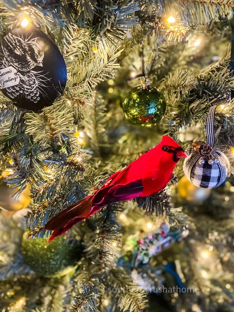 If You See a Cardinal at Christmas, Here's What it Can Mean Cardinal Christmas Tree Ideas, Meaning Of Candy Cane, Cardinal Birds Meaning, Cardinal Decor, Farmhouse Style Christmas, Bird Stand, Christmas Tree Ideas, Cardinal Birds, Bird Ornaments