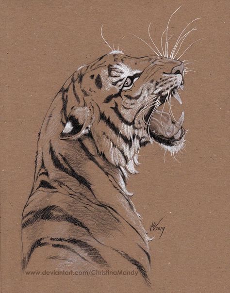 Brown Paper Art Drawing, Brown Paper Drawing, Drawing On Brown Paper, Toned Paper Drawing, Tiger Sketch, Tiger Drawing, Animal Illustration Art, Animal Study, Tiger Art