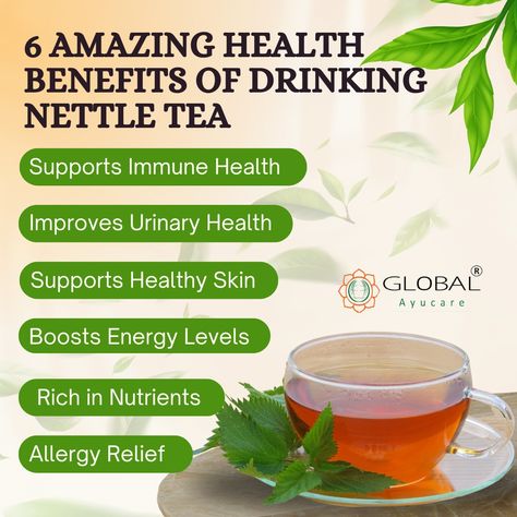 Explore the 6 incredible health benefits of nettle tea! From reducing inflammation to promoting detox, see why nettle tea is your new wellness go-to. 🌱✨ Click on the link to buy herbal products:[https://tinyurl.com/3m5xpuam] #nettletea #herbalhealing #HealthTips2024 #likeforlike #followforfollowback #ayurveda #india #ayurvedicherbs #ayurvedicdoctor #globalayucare #stayfitstayhealthy #NaturalWellnessJourney #tealovers #healthyhabits #selfcare Nettle Tea Benefits, Benefits Of Nettle, Ayurveda India, Nettle Tea, Ayurvedic Doctor, Urinary Health, Reducing Inflammation, Health Tea, Natural Healing Remedies