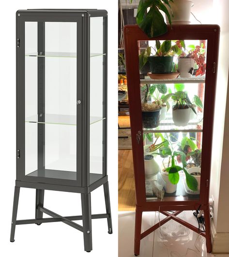 Converting Ikea Fabrikor (tall) into greenhouse Fabrikor Cabinet, Ikea Fabrikor, Vitrine Ikea, Ikea Plants, Ikea Pictures, Indoor Greenhouse, Apartment Plants, White Spray Paint, Ikea Cabinets