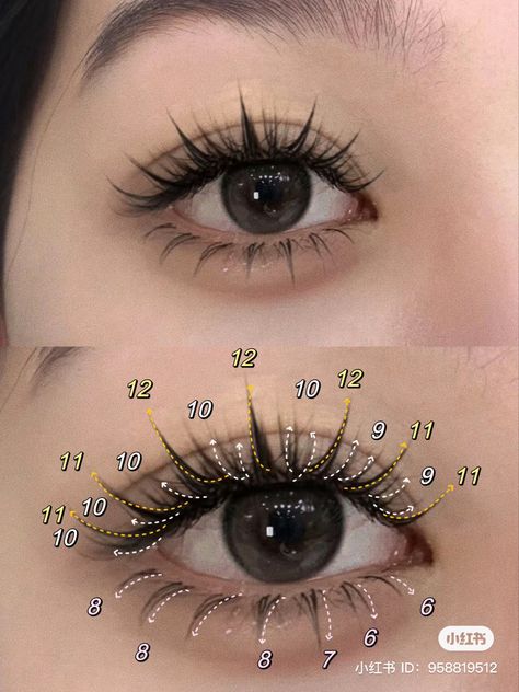 Doll Lash Extensions, Manhua Lashes, Lash Academy, Lash Ideas, Lash Maps, Lashes Fake Eyelashes, Lash Extensions Makeup, Lashes Extensions, Perfect Eyelashes