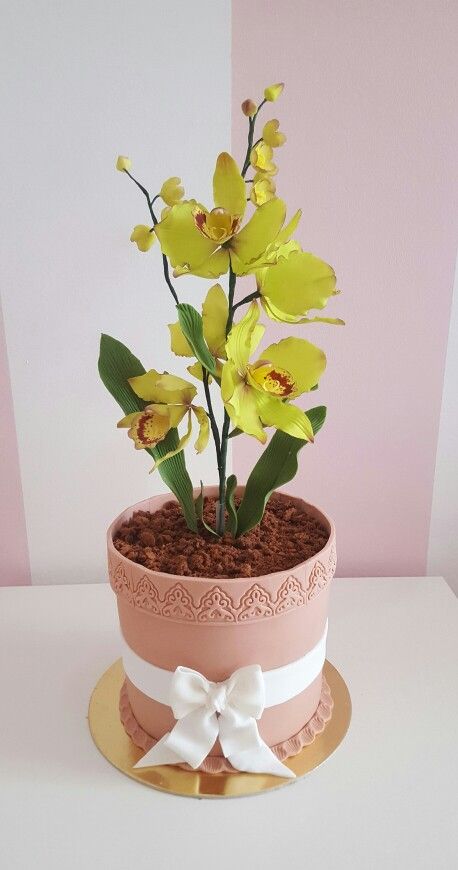 Orchidea cake Vase Cake Ideas, Fondant Cake For Moms Birthday, Orchid Birthday Cake Ideas, Cake With Orchids, Orchid Cake Ideas, Orchids Cake Design Birthday, Flower Pot Cake, Orchid Cake, Orchid Pots Ceramic Pottery