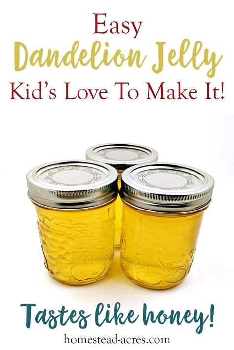 Dandelion Recipes Jelly, Dandelion Jam, Dandelion Jelly Recipe, Hygge Activities, Floral Jelly, Flowers Recipes, Flower Recipes, Flower Jelly, Canning Ideas