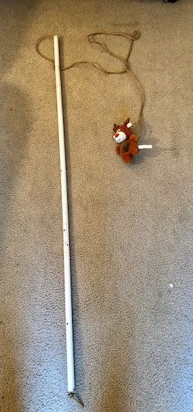 How to Build and Use a Flirt Pole | Journey Dog Training Dog Flirt Pole Diy, Flirt Pole For Dogs Diy, Train Dogs, Bull Whip, Dog Enrichment, How To Think, Puppy Stuff, Dog Ideas, Best Dog Training