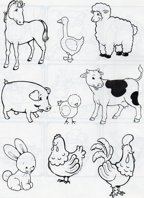 Animal Pictures For Kids, Animal Activities, My Animal, Farm Theme, Art Drawings For Kids, Animal Crafts, Animal Coloring Pages, Jungle Animals, Book Page