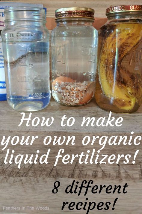 Organic liquid fertilizers in jars, homemade Homemade Plant Fertilizer, Garden Hack, Organic Liquid Fertilizer, Diy Fertilizer, Garden Hacks Diy, How To Make Compost, Kitchen Scraps, Garden Remedies, Natural Fertilizer