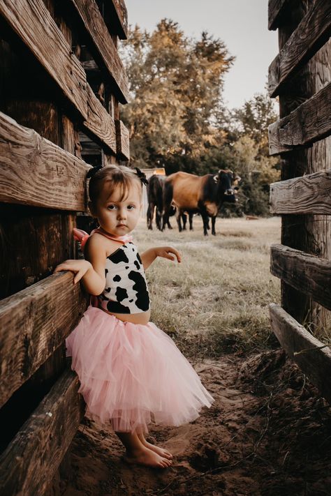 Cow First Birthday Pictures, Cowgirl Birthday Photoshoot, Cow Photoshoot, Toddler Cowgirl, Western Family, Cowgirl Photoshoot, Cowgirl Pictures, Farm Photos, Cow Photos