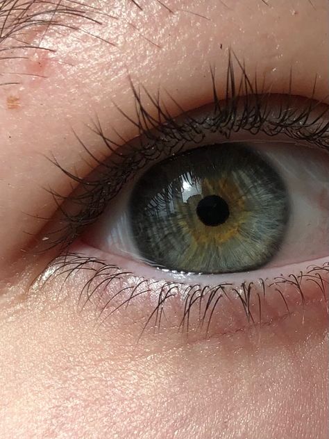 Yellow Green Eyes, Creepy Cute Fashion, Eye Facts, Beautiful Eyes Color, Face Details, Eyes Color, Green Eye, Gray Eyes, Aesthetic Eyes