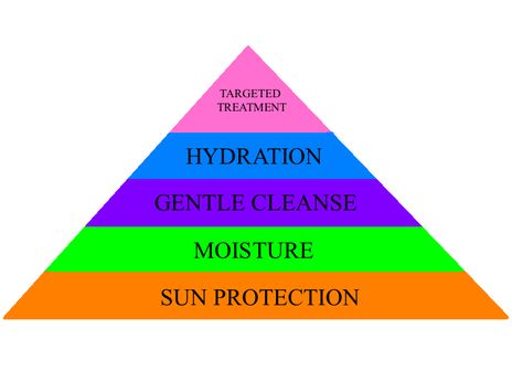 People who are new to skincare and have a variety of skin problems often find themselves overwhelmed by the massive amount of available skin... Skincare Needs, Beauty Needs, Skin Problems, Diy Beauty, Sun Protection, Pie Chart, Moisturizer, Skin, Beauty