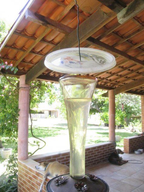 If you've put a hummingbird feeder up only to discover it full of ants the following morning, don't despair. Here is an easy and inexpensive way to keep those unwanted ants off your feeders. Hummingbird Nectar Recipe, Diy Hummingbird Feeder, Backyard Birds Watching, Ant Repellent, Hummingbird Food, Bird Feeder Craft, Hummingbird Nectar, Hummingbird Plants, Get Rid Of Ants