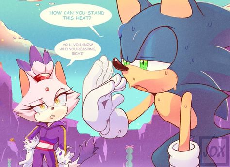 Universe Videos, Blaze The Cat, Sonic & Knuckles, Sonic Heroes, Sonic Funny, Sonic Fan Characters, Hedgehog Art, Sonic And Shadow, Sonic Fan Art