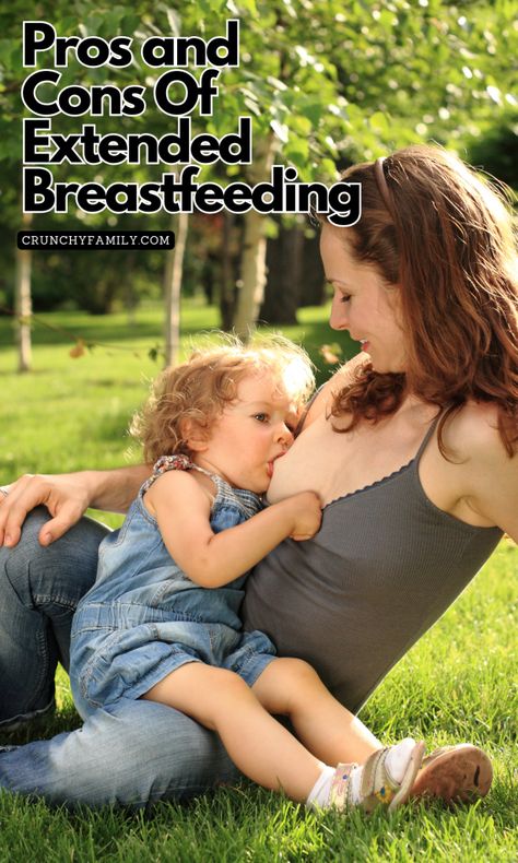 mother nursing a toddler Breastfeeding Photoshoot Ideas, Mother Breastfeeding, Extended Breastfeeding, Breastfeeding Benefits, Free Activities For Kids, Screen Free Activities, Natural Pregnancy, Parenting Strategies, Natural Parenting