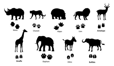 African animal silhouettes with footprints Jungle Animal Footprints, Zebra Footprint, Animal Footprint Art, African Animal Silhouette, South Africa Animals, Footprint Poster, South African Animals, Playdate Ideas, Savanna Animals