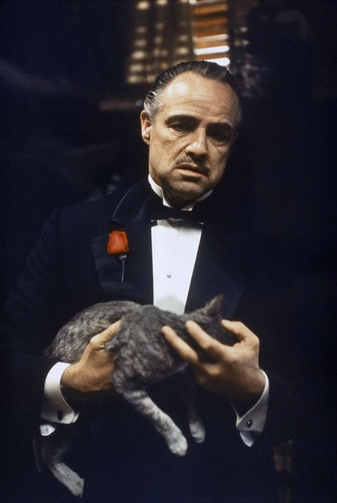 Pauline Kael Reviews “The Godfather” | The New Yorker The Godfather Wallpaper, Godfather 1, Sonny Corleone, The Godfather Poster, The Godfather 1972, Don Vito Corleone, Don Corleone, Godfather Movie, Sir Anthony Hopkins