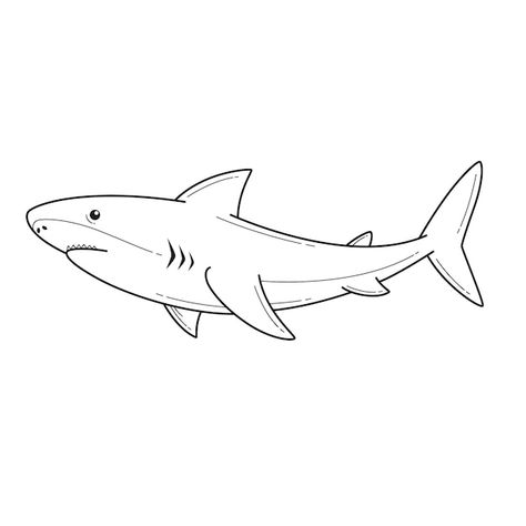 Shark Illustration Art, Great White Shark Drawing Easy, Drawing Shark Easy, Shark Tattoo Ideas Simple, Shark Illustration Design, Shark Sketch Easy, Simple Sea Animal Drawing, Shark Simple Tattoo, Drawing Ideas Shark