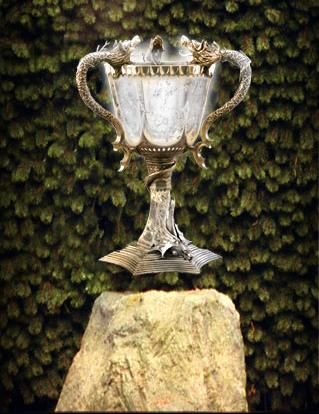 The Triwizard Cup (Harry Potter and the Goblet of Fire) Triwizard Cup, The Triwizard Tournament, House Ravenclaw, Harry Potter Goblet, Albus Severus, Harry Potter Wiki, Triwizard Tournament, Festa Harry Potter, The Goblet Of Fire