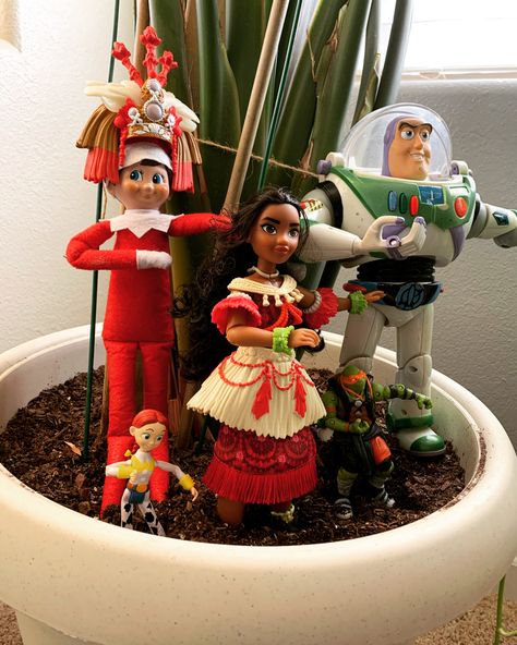 The Elf, Toy Story’s Jesse and Buzz lightyear and Michelangelo the Ninja Turtle got hula lessons from Moana. She even let the elf wear her head dress. Elf Toy, Hula Dance, Head Dress, Ninja Turtle, Buzz Lightyear, The Elf, Moana, Ninja Turtles, On The Shelf