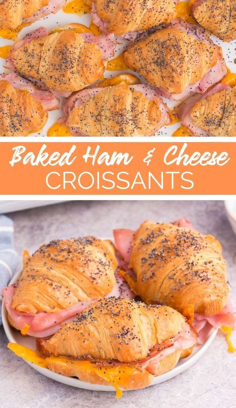 Baked Ham and Cheese Croissants are the best way to start your morning. They are crispy on the outside and soft on the inside! Cresent Roll Ham And Cheese Sliders, Croissant Appetizers Finger Foods, Ham And Cheese Crossiant Bake, Baked Crescent Sandwiches, Ham And Cheese Crossiant Sandwiches, Make Ahead Ham And Cheese Croissants, Ham And Cheese Mini Croissant, Easy Ham And Cheese Croissant, Ham And Cheese Crossaints