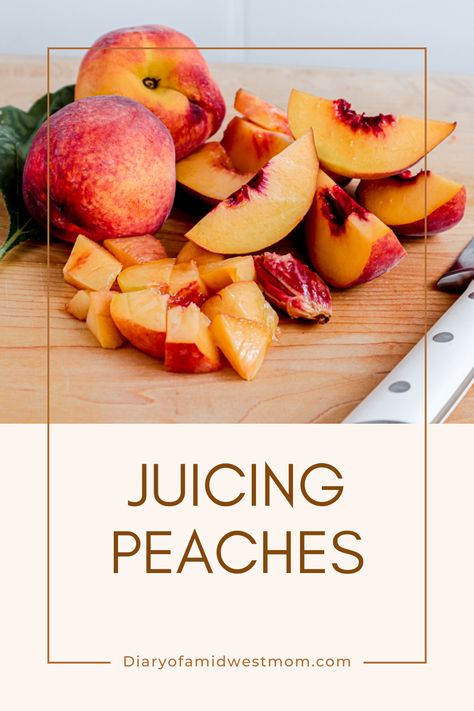 How to make peach juice with or without a juicer! Peach Juice Recipes, Homemade Fruit Leather, Peach Water, Flavored Margaritas, Homemade Juice, Cold Press Juicer, Kids Homemade, Nut Milk Bag, Fruit Leather