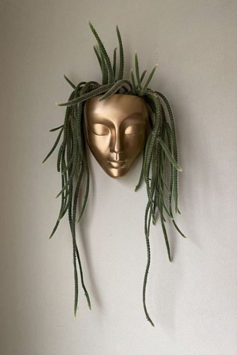 Plant Wall Ideas Indoor, Plants On Wall, Install Floating Shelves, Face Decor, Wall Plants, Wall Hanging Decorations, Unique Planters, Skull Planter, Indoor Plant Wall