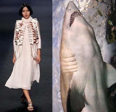 shark inspire fashion Shark Fashion, Matching Images, Sea Slug, Slug, Inspired Fashion, Sea Life, The Amazing, Batik, Fashion Dresses