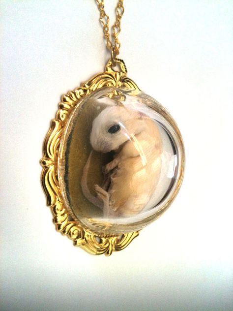 Lauren Kane: "Kitten Mouse Necklace" (taxidermy mouse in glass pendant) Taxidermy Mouse, Taxidermy Jewelry, Mouse Necklace, Wet Specimen, Taxidermy Art, Weird Pictures, Memento Mori, Taxidermy, Glass Pendants