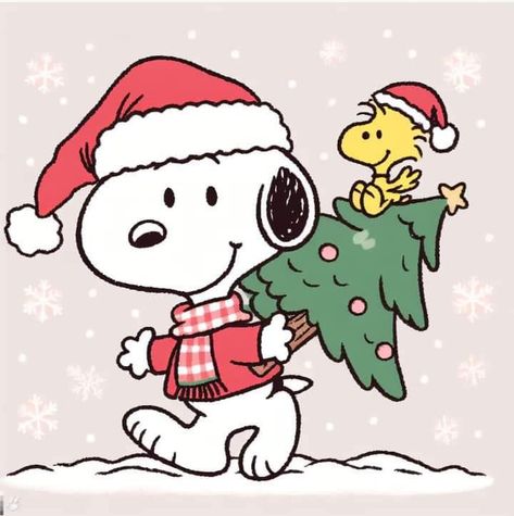 Snoopy Christmas Icon, Snoopy And Woodstock Christmas, Widget Christmas Aesthetic, Snoopy Christmas Card, Cute Christmas Widgets, Widgets Winter, Christmas Cards Aesthetic, Holiday Snoopy, Merry Christmas Snoopy