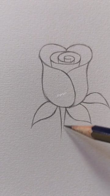 Pencil Art Love, Rose Drawing Simple, Pencil Colours, Rose Drawing, Drawing For Beginners, Color Pencil Art, Art Love, Love Rose, Love Drawings