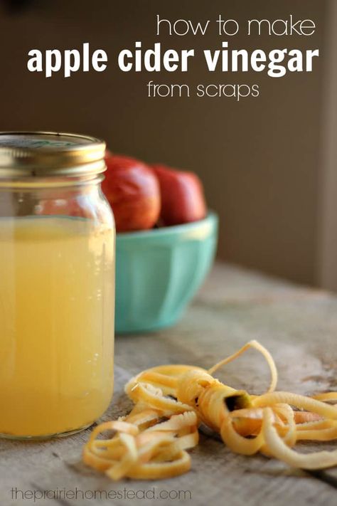 Homemade Apple Cider Vinegar, Vinegar Diet, Apple Cider Vinegar Diet, The Prairie Homestead, Apple Cider Vinegar Recipes, Make Apple Cider Vinegar, Prairie Homestead, Homemade Apple Cider, Cold Sores Remedies